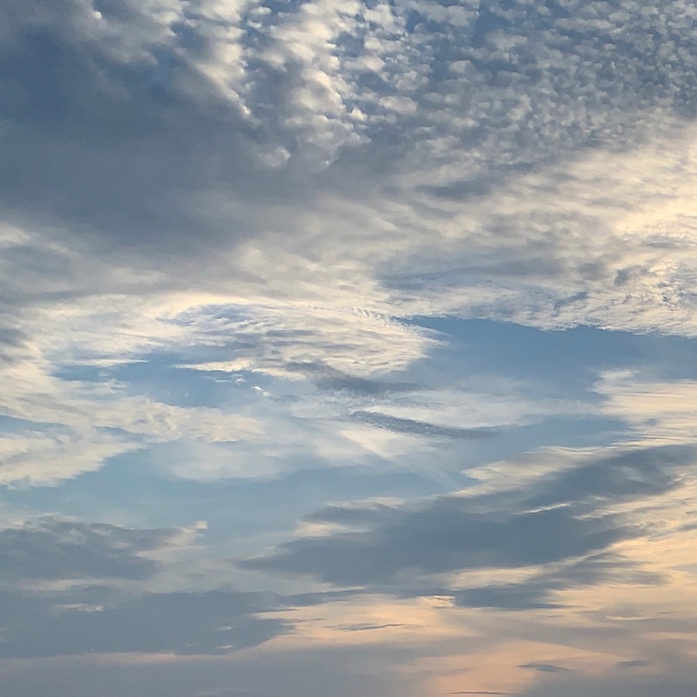 Meet your Posher, Tifany